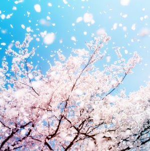 Meet your Posher, Kendra